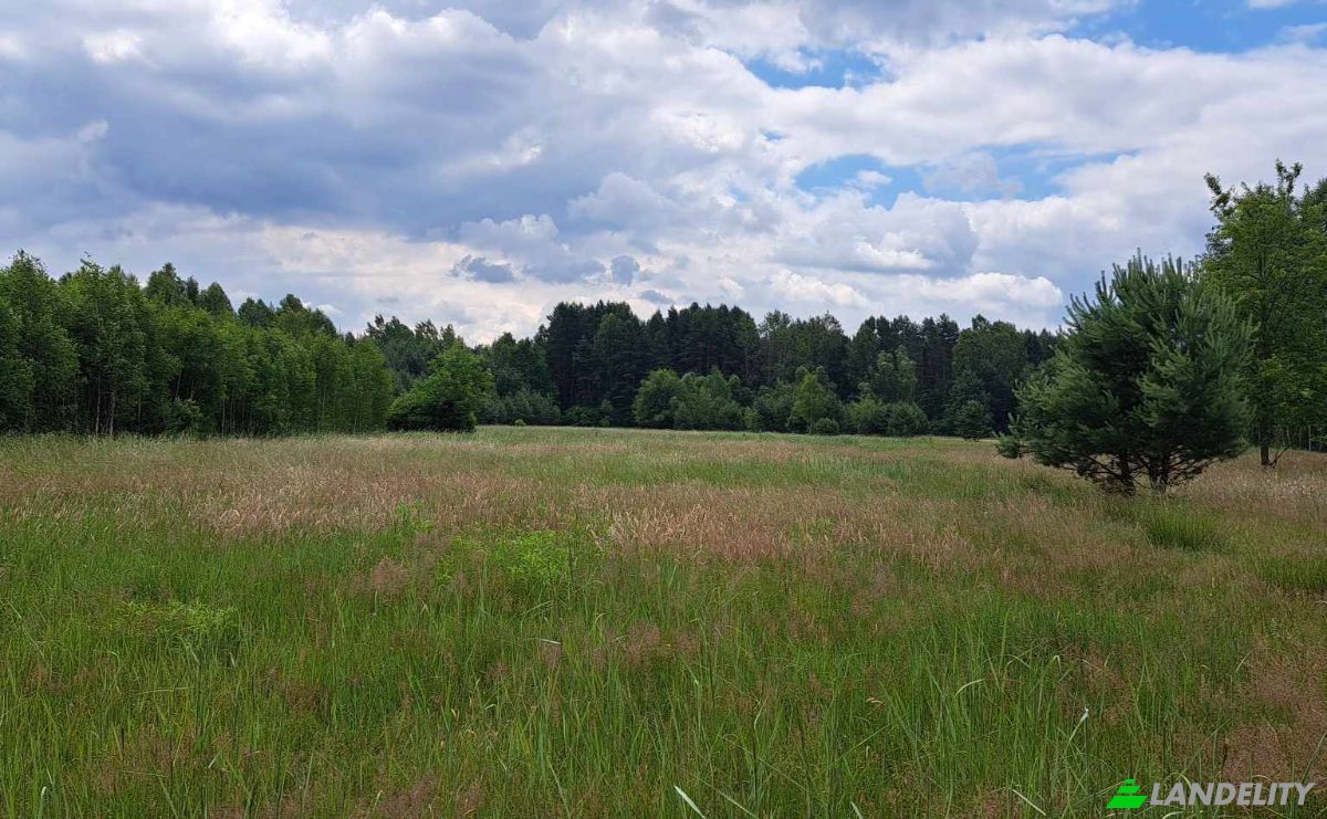 Grondperceel Te koop Luta 105A, 26-220, Luta, Konskie County, Swietokrzyskie Voivodeship, Poland. Foto 11