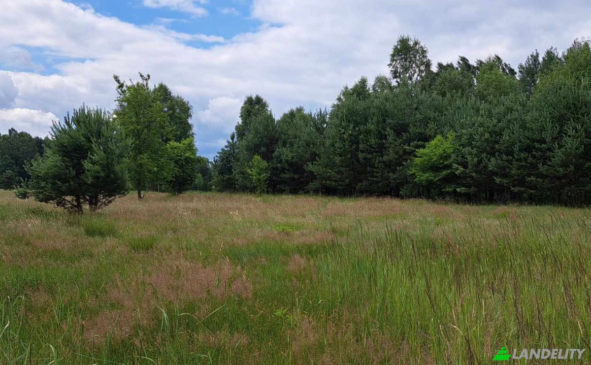 Grondperceel Te koop Luta 105A, 26-220, Luta, Konskie County, Swietokrzyskie Voivodeship, Poland. Foto 12