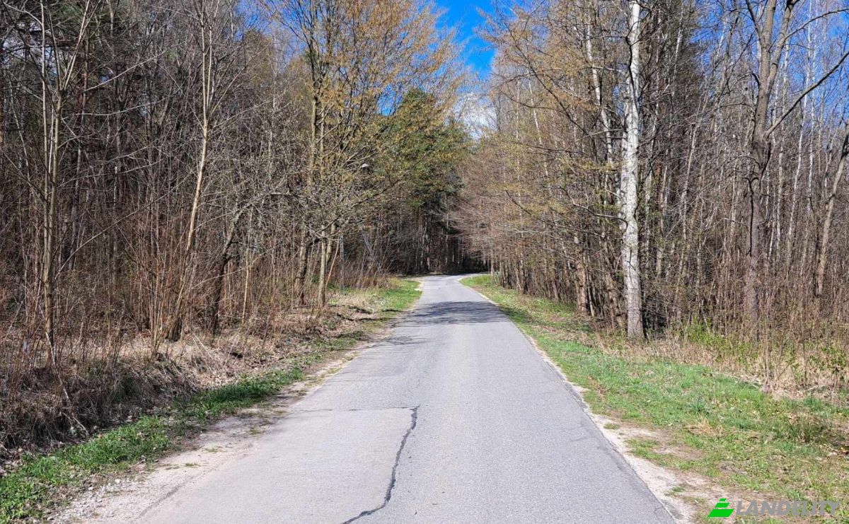 Land Lot for Sale PrzyLogi 143, 26-212, Huta, Konskie County, Swietokrzyskie Voivodeship, Poland. Photo 3