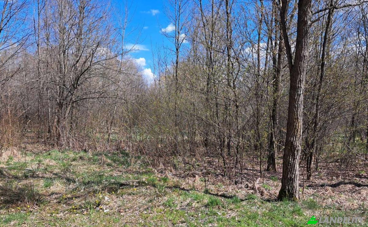 Land Lot for Sale PrzyLogi 143, 26-212, Huta, Konskie County, Swietokrzyskie Voivodeship, Poland. Photo 4
