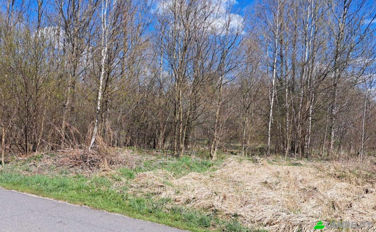 Land Lot for Sale PrzyLogi 143, 26-212, Huta, Konskie County, Swietokrzyskie Voivodeship, Poland. Photo 6