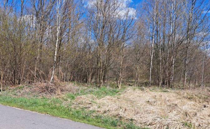 Land Lot for Sale PrzyLogi 143, 26-212, Huta. Photo#6