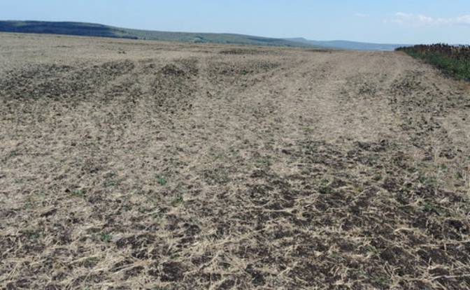 Land Lot for Sale - Gaberovo, Bulgaria