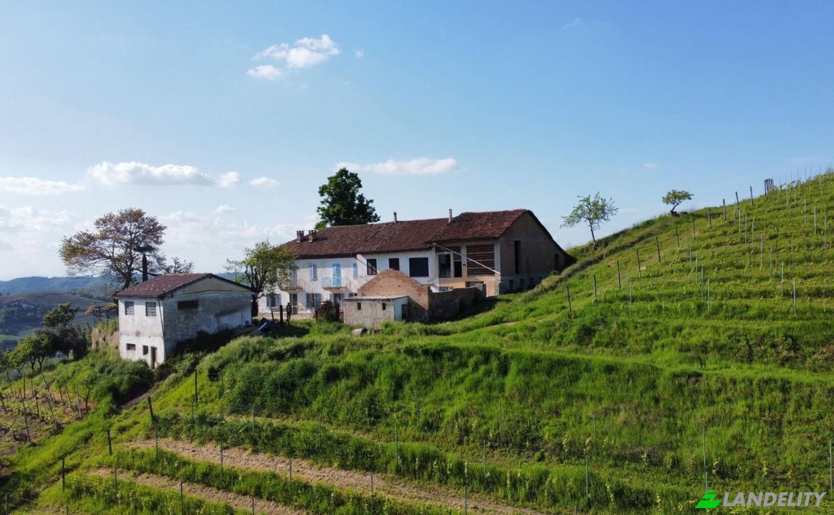 Mansion for Sale Via San Michele, 14040 Vinchio AT, Vinchio, Province of Asti, Piedmont, Italy. Photo 2
