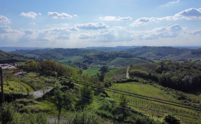 Mansion for Sale Via San Michele, 14040 Vinchio AT. Photo#4 Mansion for Sale Via San Michele, 14040 Vinchio AT. Photo#4