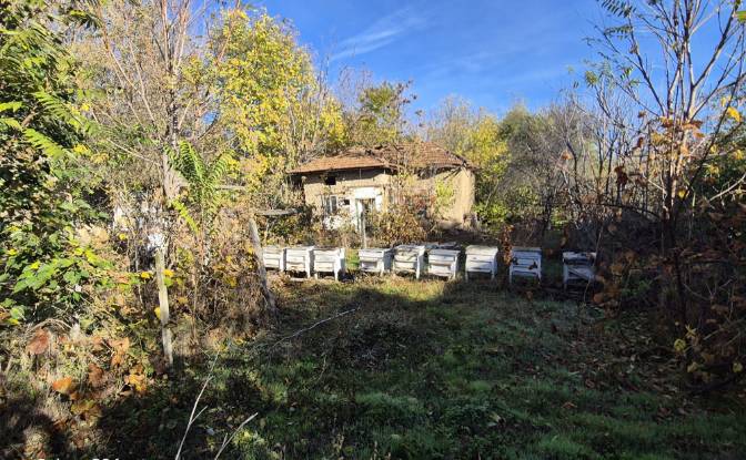 Maison unifamiliale à vendre 3404 5, 5958 Debovo. Photo#6