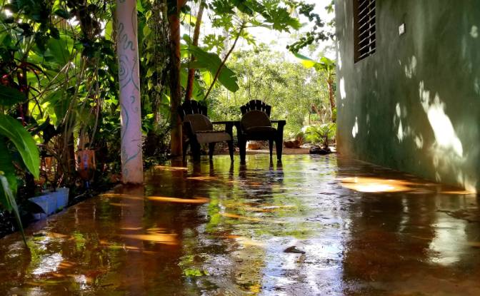 Farm/Ranch for Sale Las Galeras 32000, Las Galeras. Photo#7 Farm/Ranch for Sale Las Galeras 32000, Las Galeras. Photo#7
