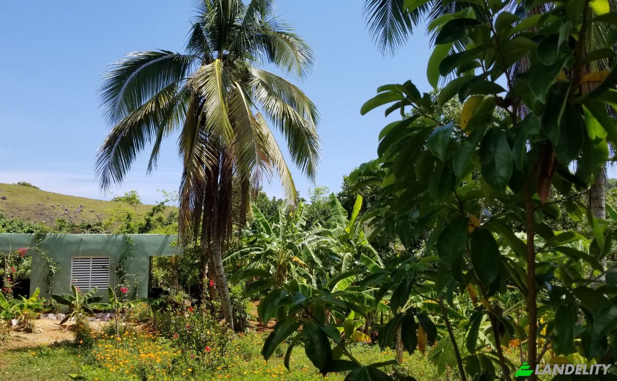 Farm/Ranch for Sale Las Galeras 32000, Las Galeras, Samana, Samana Province, Dominican Republic. Photo 3