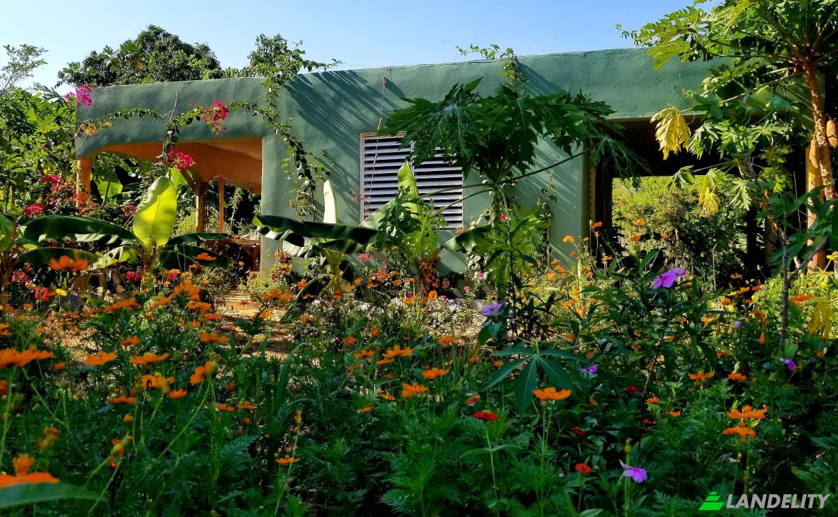 Farm/Ranch for Sale Las Galeras 32000, Las Galeras, Samana, Samana Province, Dominican Republic. Photo 5