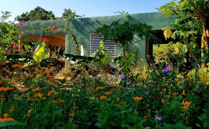 Farm/Ranch for Sale Las Galeras 32000, Las Galeras. Photo#5 Farm/Ranch for Sale Las Galeras 32000, Las Galeras. Photo#5