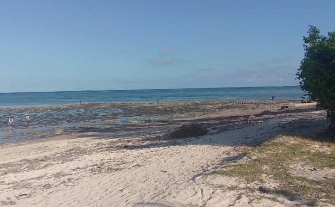 Erholungsort zu verkaufen Shelly Beach. Foto#2