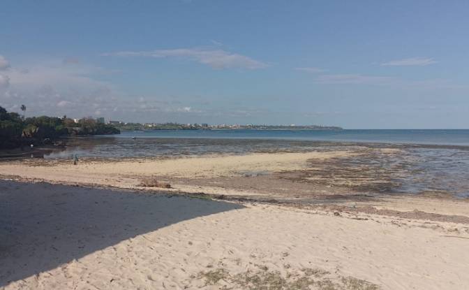 Erholungsort zu verkaufen Shelly Beach. Foto#3