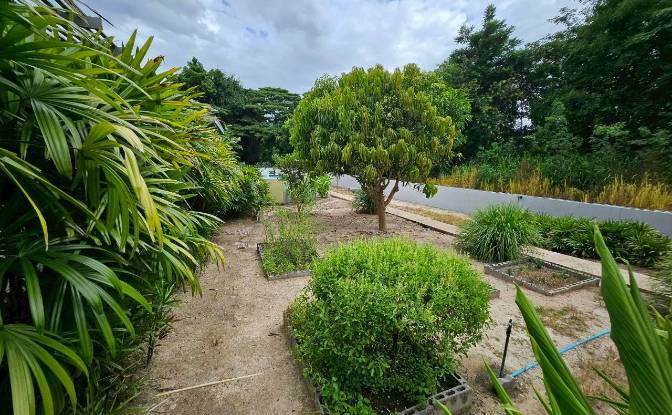 Single Family Home for Sale Hua Sai Nua. Photo#19 Single Family Home for Sale Hua Sai Nua. Photo#19