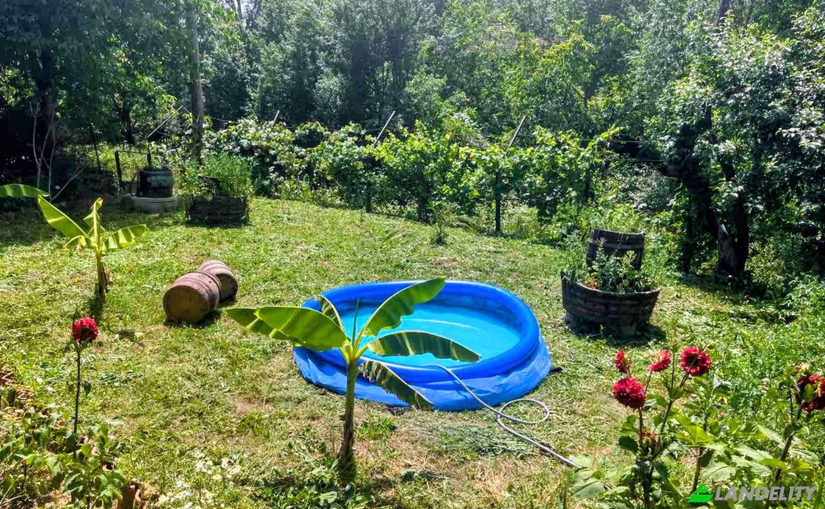 Single Family Home for Sale 3951 Varbovo, Varbovo, Chuprene, Vidin, Bulgaria. Photo 3