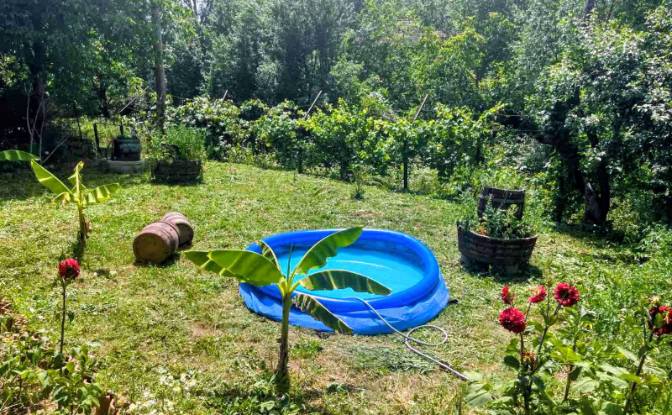 Single Family Home for Sale 3951 Varbovo, Varbovo. Photo#3