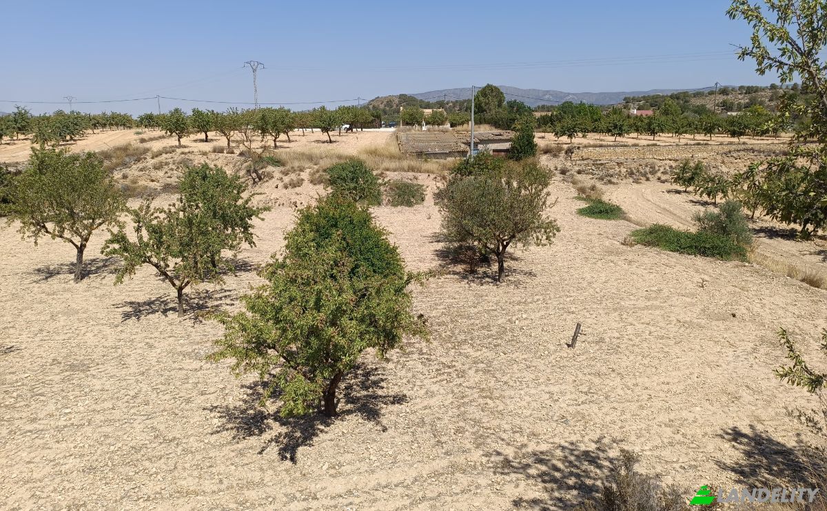 Single Family Home for Sale Partida Xirivell, Monover, Alicante, Valencian Community, Spain. Photo 4