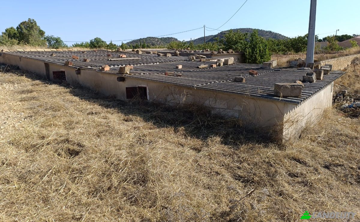 Single Family Home for Sale Partida Xirivell, Monover, Alicante, Valencian Community, Spain. Photo 6