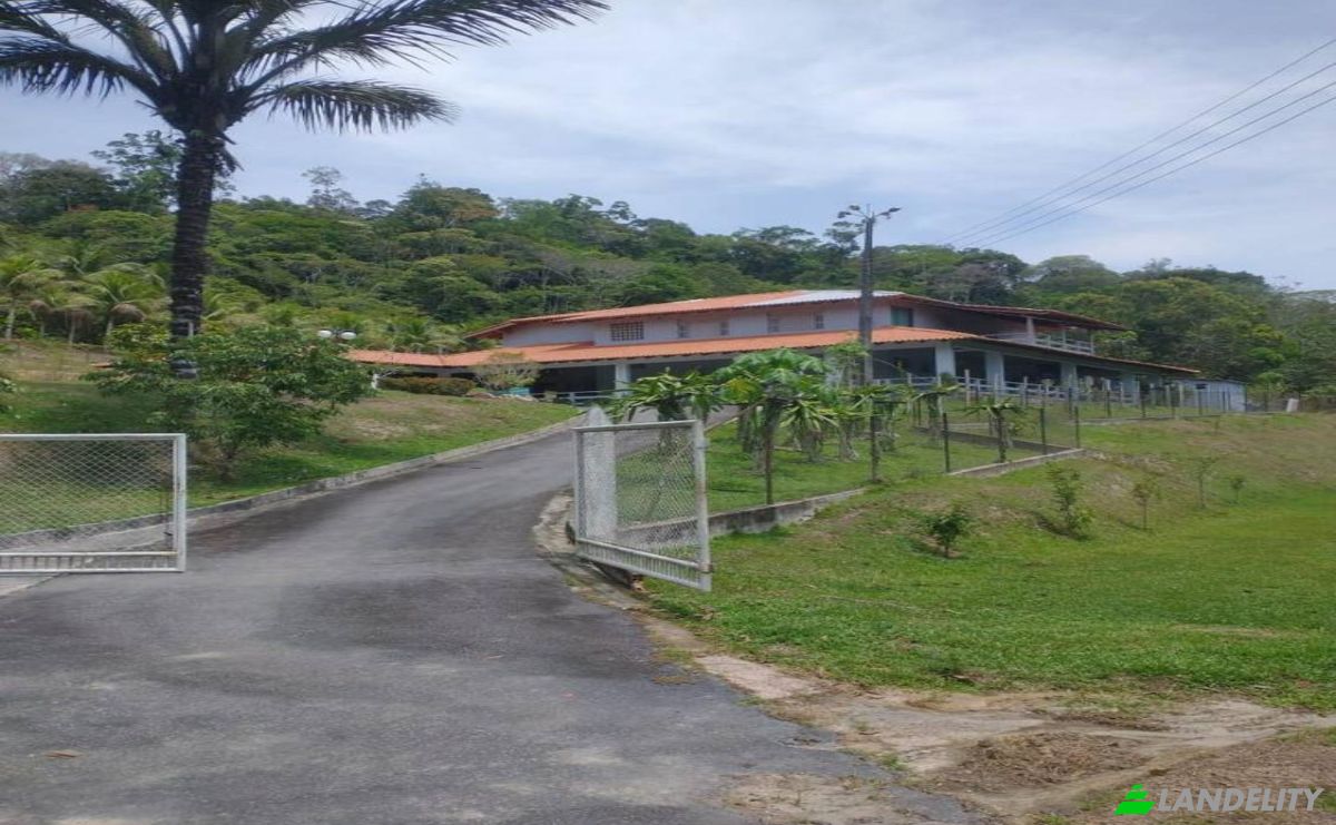 Farm/Ranch for Sale AM-010, Manaus, Boa Vista, Rio Preto da Eva, State of Amazonas, Brazil. Photo 8