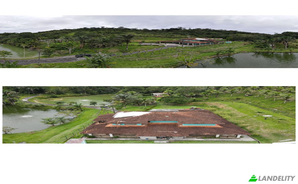 Farm/Ranch for Sale AM-010, Manaus, Boa Vista, Rio Preto da Eva, State of Amazonas, Brazil. Photo 12