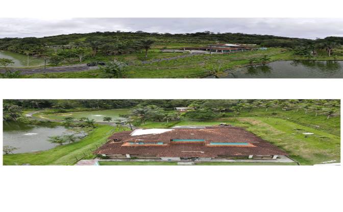 Farm/Ranch for Sale AM-010, Manaus, Boa Vista. Photo#12 Farm/Ranch for Sale AM-010, Manaus, Boa Vista. Photo#12