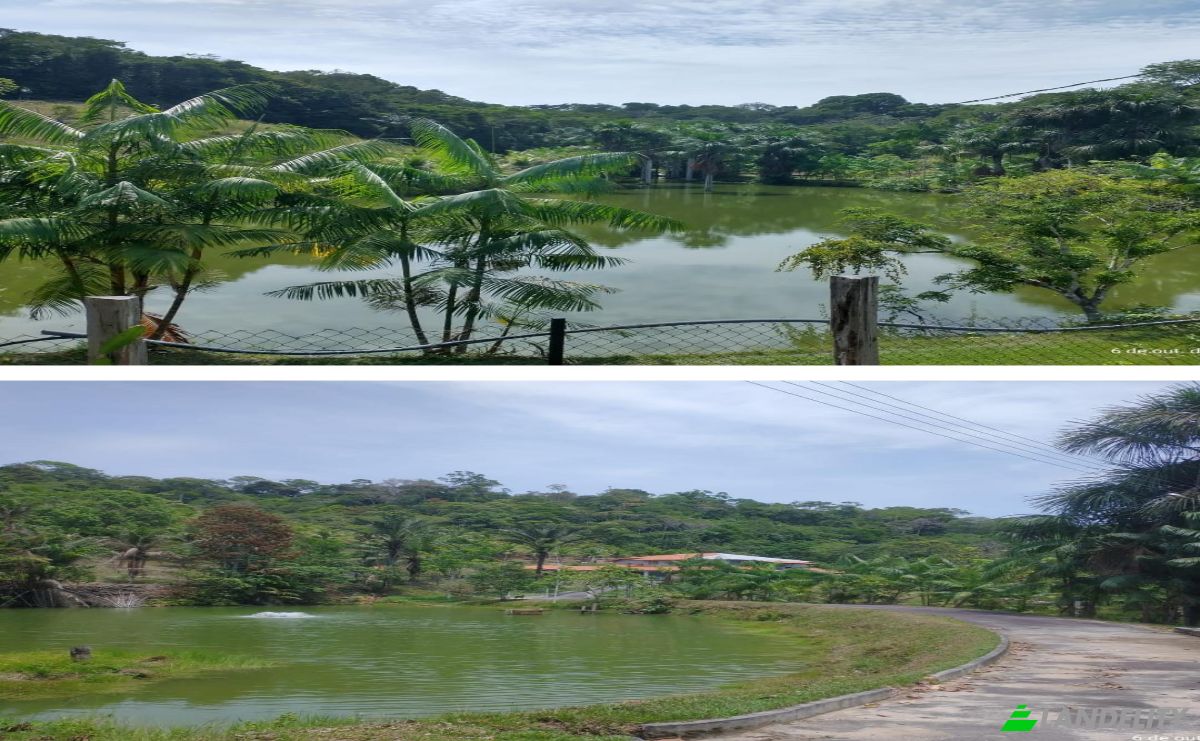 Farm/Ranch for Sale AM-010, Manaus, Boa Vista, Rio Preto da Eva, State of Amazonas, Brazil. Photo 13