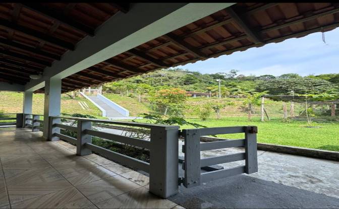 Farm/Ranch for Sale AM-010, Manaus, Boa Vista. Photo#7 Farm/Ranch for Sale AM-010, Manaus, Boa Vista. Photo#7