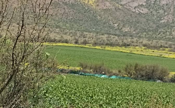Investing/Development for Sale Av Casa de Piedra. Photo#2 Investing/Development for Sale Av Casa de Piedra. Photo#2