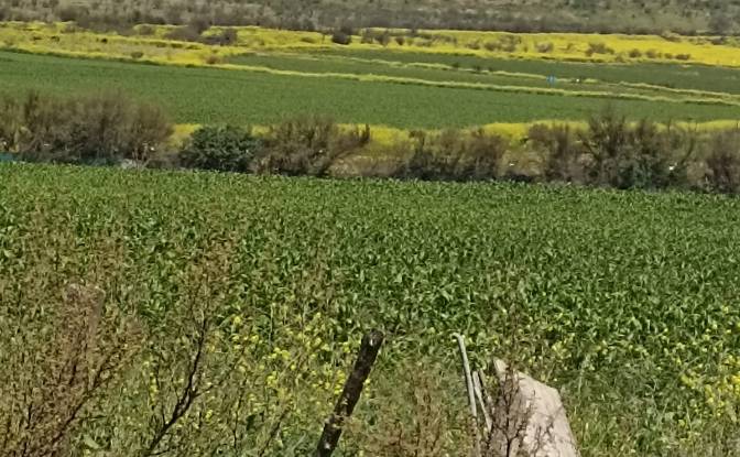 Investing/Development for Sale Av Casa de Piedra. Photo#4 Investing/Development for Sale Av Casa de Piedra. Photo#4