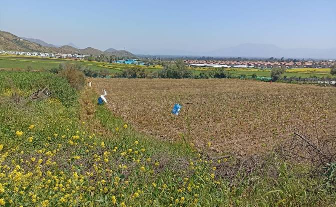 Investing/Development for Sale Av Casa de Piedra. Photo#6 Investing/Development for Sale Av Casa de Piedra. Photo#6