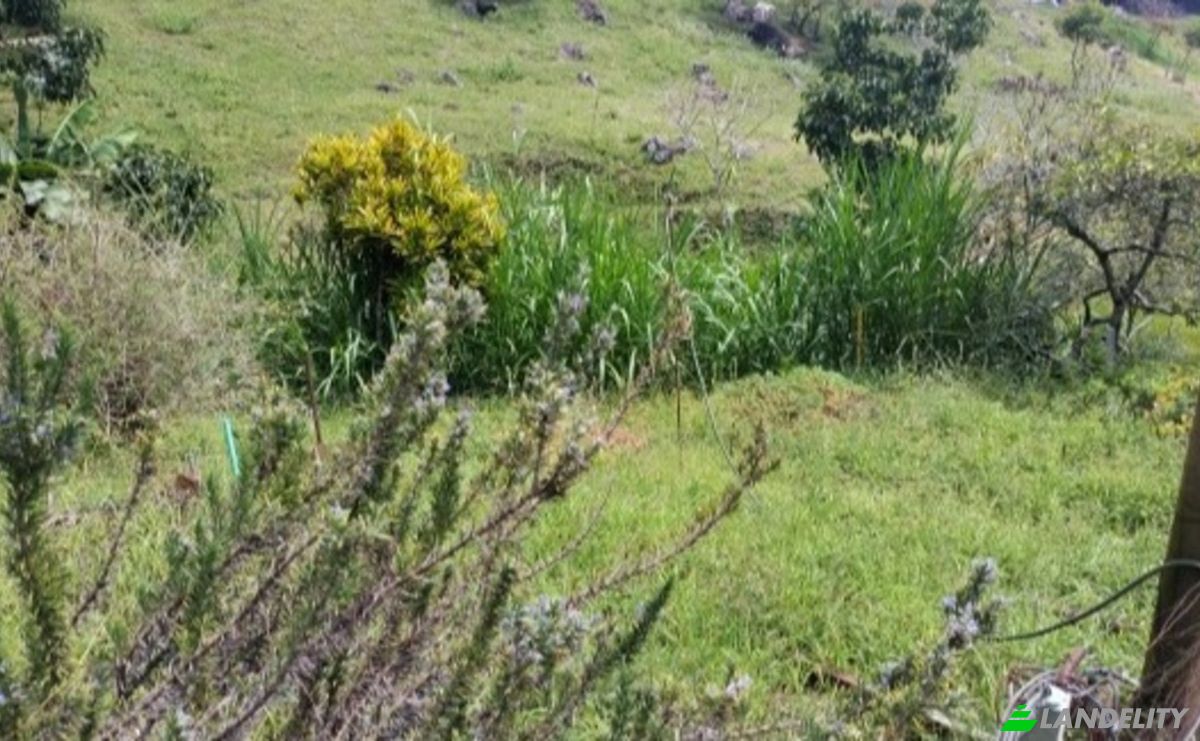 Blockhütte/Ferienhaus zu verkaufen La Vaca, Vda El Noral, Vereda El Noral, Copacabana, Antioquia, Colombia. Foto 17