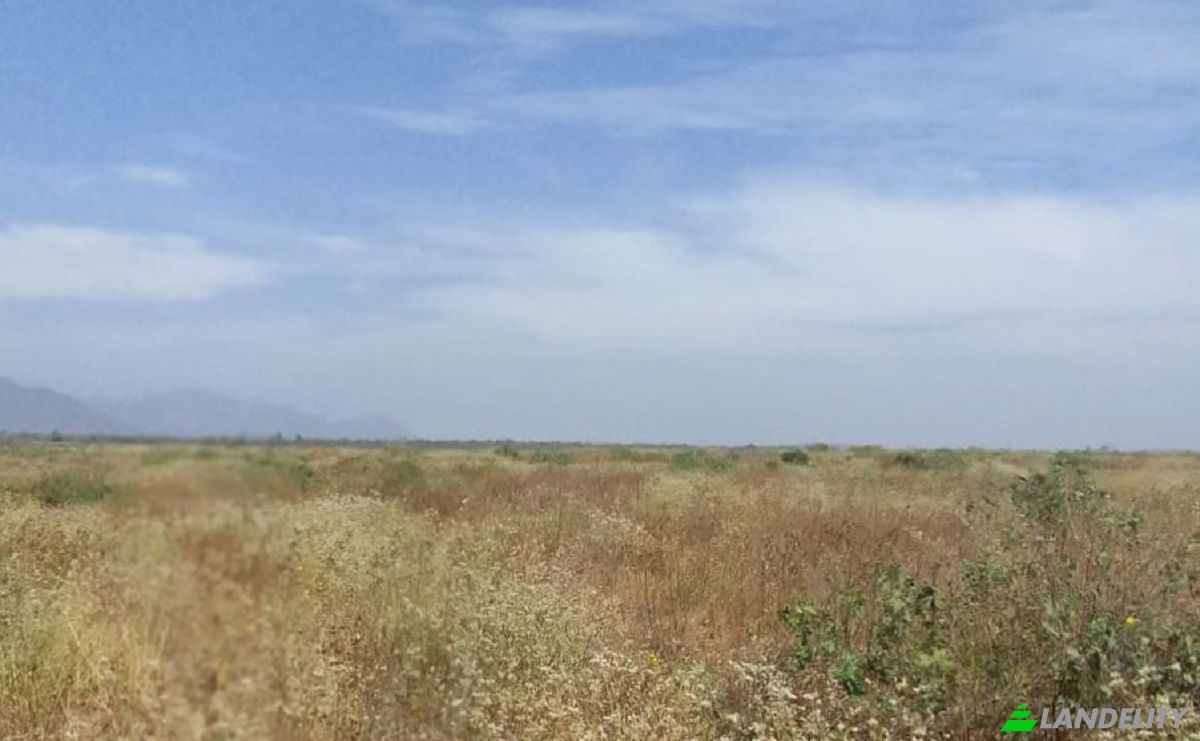 Land Lot for Sale Via Sin Nombre, 14210, Falla, Lambayeque Province, Lambayeque, Peru. Photo 2