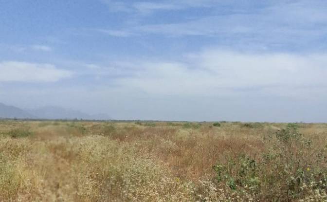 Land Lot for Sale Via Sin Nombre, 14210, Falla. Photo#2