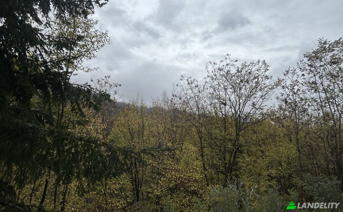 Appartamento in vendita Località Fontanelle, 85048 Rotonda PZ, Rotonda PZ, Provincia di Potenza, Basilicata, Italia. Foto 15