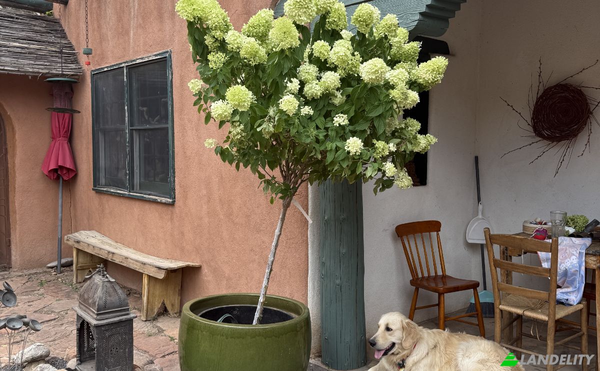 Mansion for Sale 18 Destierro Trail, Santa Fe, NM 87506, USA, Pojoaque, Santa Fe County, New Mexico, United States. Photo 5