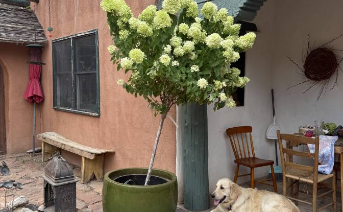 Mansion for Sale 18 Destierro Trail, Santa Fe. Photo#5 Mansion for Sale 18 Destierro Trail, Santa Fe. Photo#5