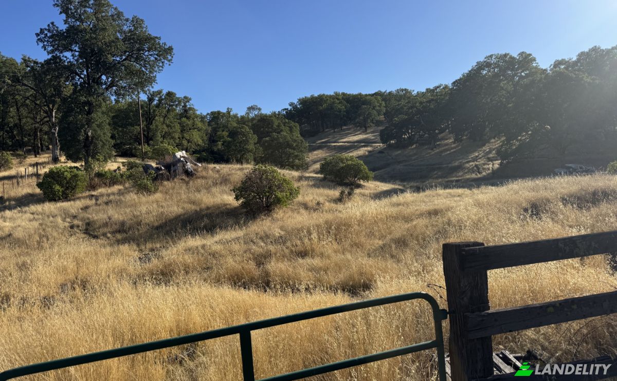 Investing/Development for Sale 23040 Poonkinney Rd, Covelo, Mendocino County, California, United States, CA 95428, USA. Photo 13