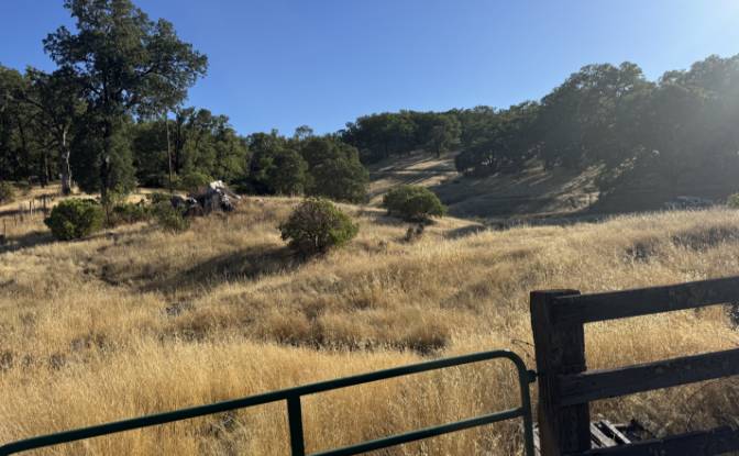 Investing/Development for Sale 23040 Poonkinney Rd. Photo#13
