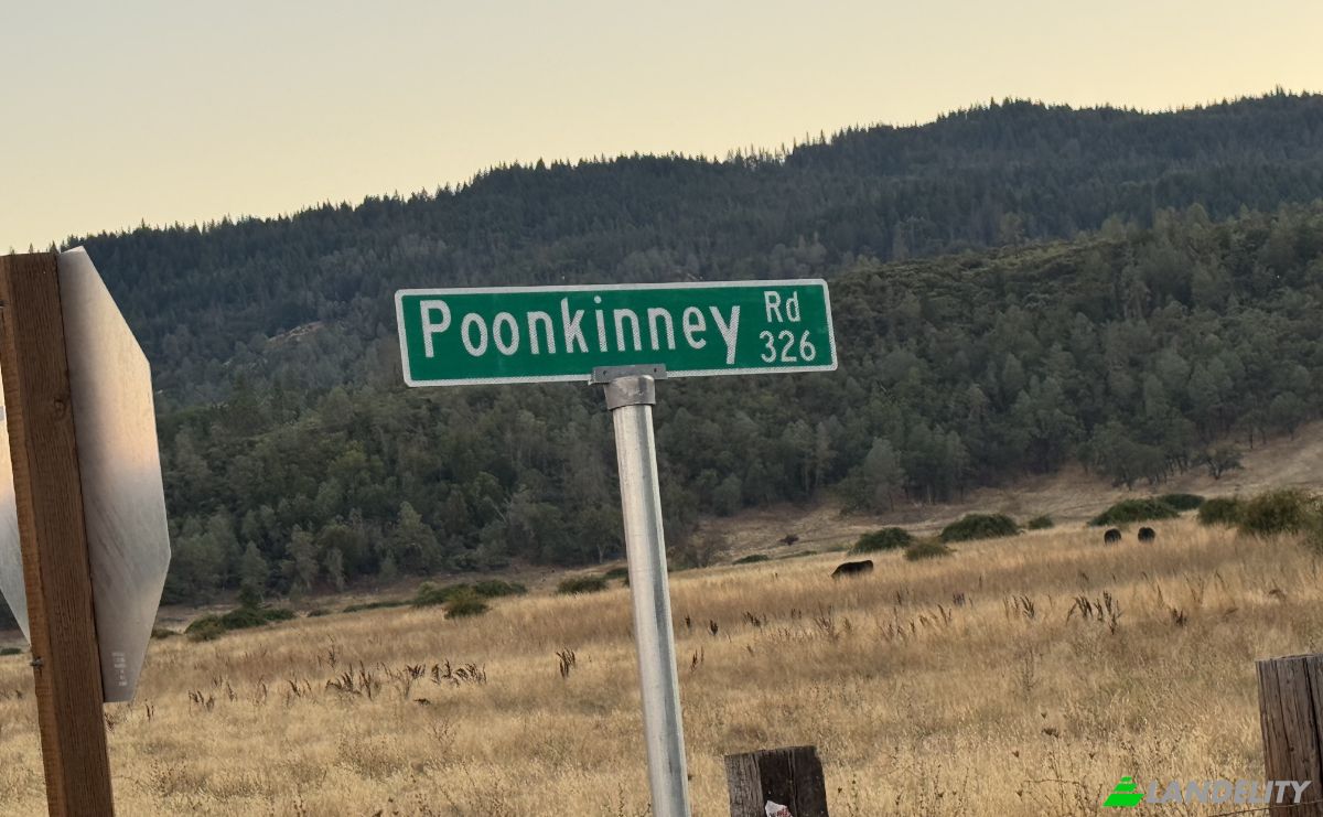 Investing/Development for Sale 23040 Poonkinney Rd, Covelo, Mendocino County, California, United States, CA 95428, USA. Photo 16