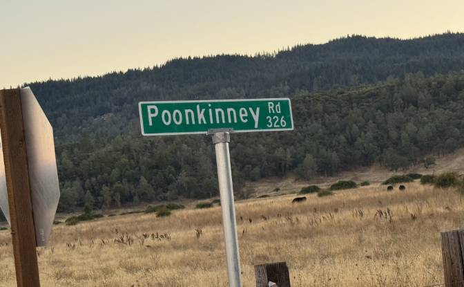 Investing/Development for Sale 23040 Poonkinney Rd. Photo#16