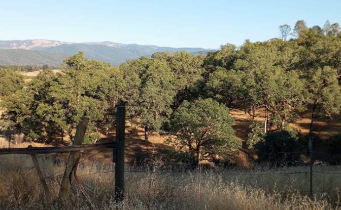 Investing/Development for Sale 23040 Poonkinney Rd. Photo#2
