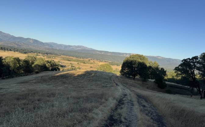 Investing/Development for Sale 23040 Poonkinney Rd. Photo#3