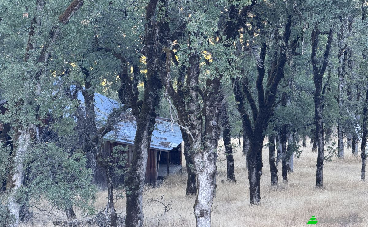 Investing/Development for Sale 23040 Poonkinney Rd, Covelo, Mendocino County, California, United States, CA 95428, USA. Photo 6