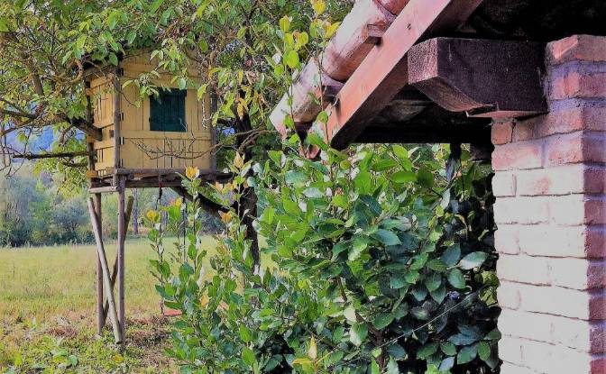 Farm/Ranch for Sale Localita Lazzuola. Photo#17