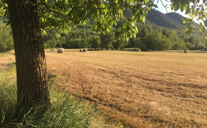 Farm/Ranch for Sale Localita Lazzuola. Photo#19