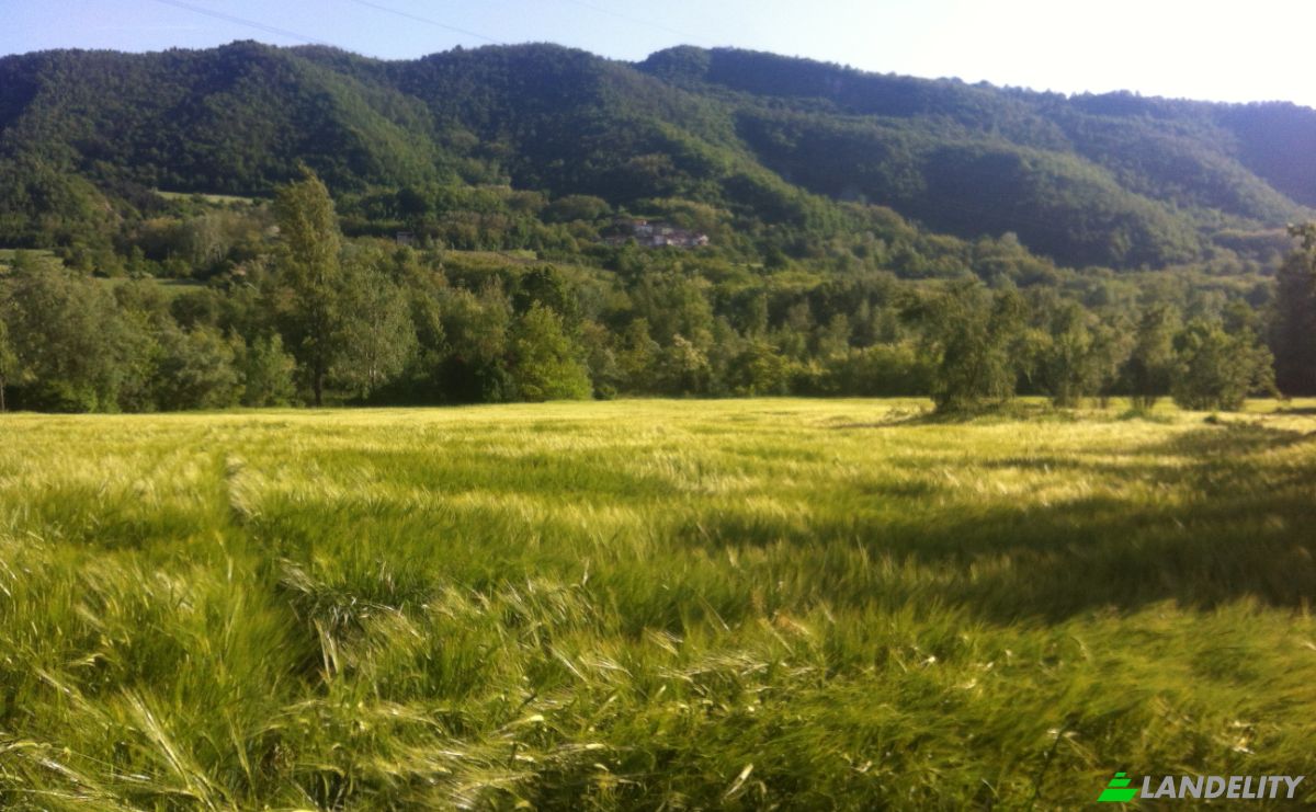 Farm/Ranch for Sale Localita Lazzuola, 27050 Bagnaria PV, Bagnaria, Province of Pavia, Lombardy, Italy. Photo 18