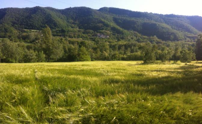 Farm/Ranch for Sale Localita Lazzuola. Photo#18
