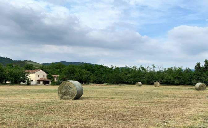 Farm/Ranch for Sale Localita Lazzuola. Photo#20
