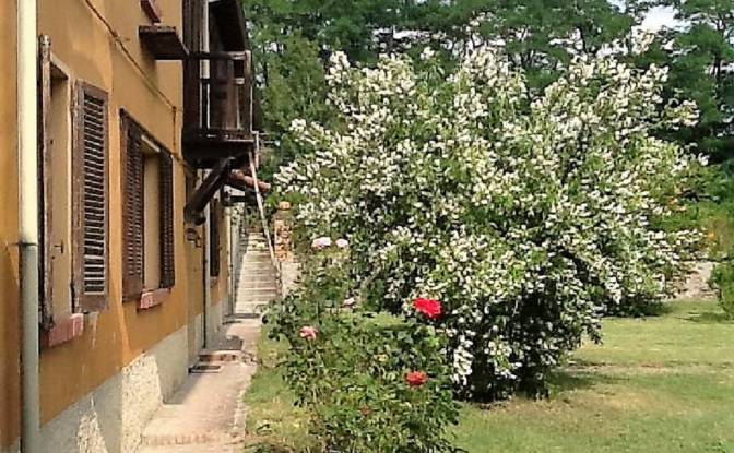 Farm/Ranch for Sale Localita Lazzuola. Photo#3