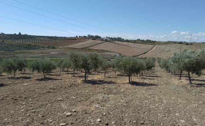Land Lot for Sale - Menfi, Italy