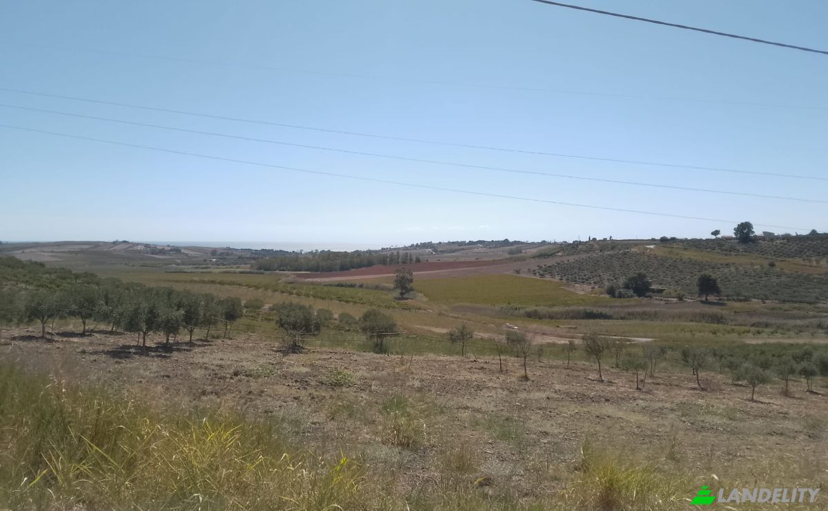 Grondperceel Te koop SP79, 92013 Menfi AG, Menfi, Free municipal consortium of Agrigento, Sicily, Italy. Foto 3